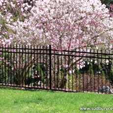 Aluminum Wrought Iron Fence by Sudbury Cedar Fence Co with a beautiful tree in full bloom in Concord, MA