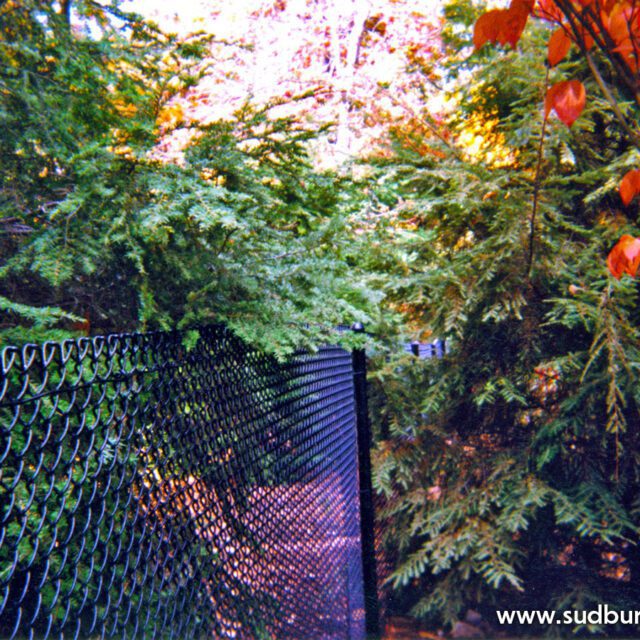 Chain Link and Wire Mesh Fencing The Perfect Combination of Security