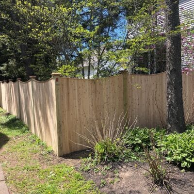 Northern white cedar privacy fence with curved top following property line and landscaping in Maynard Massachusetts