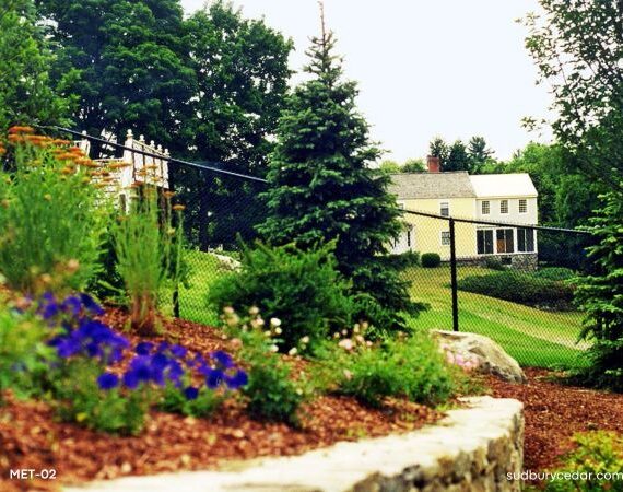 Chain link fence enclosing back yard in MetroWest MA.