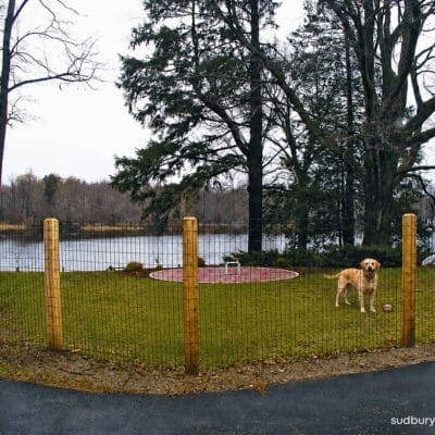 Post and wire pet fence Wayland, MA.