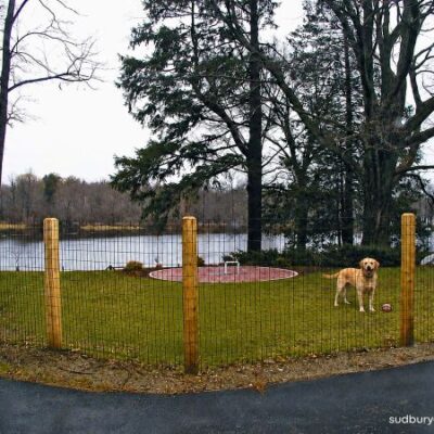 post and wire dog fence in wayland MA