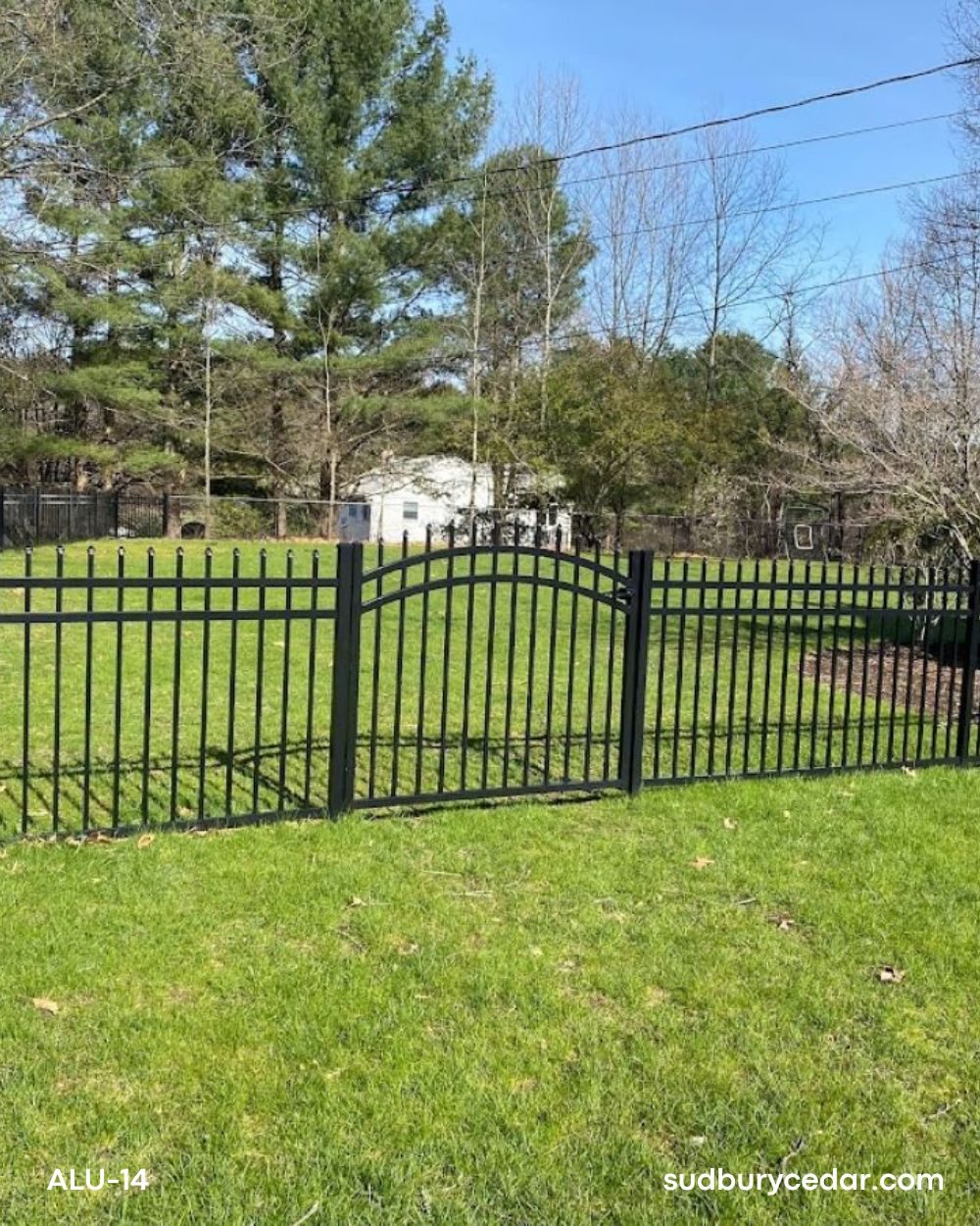 Black ornamental aluminum fence enclosing a large residential backyard with open views and decorative spear-top pickets